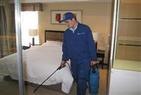 专业杀虫灭蟑，洁净环境守护者——军静杀虫保洁服务公司